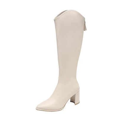 Plus size 34-43 Nuove stivali da donna con cerniera spessa con tacchi alti semplici Stivali invernali autunnali Stivali invernale