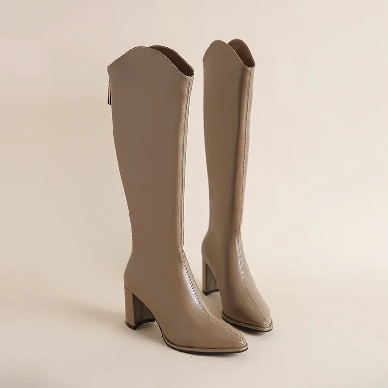 Plus size 34-43 Nuove stivali da donna con cerniera spessa con tacchi alti semplici Stivali invernali autunnali Stivali invernale